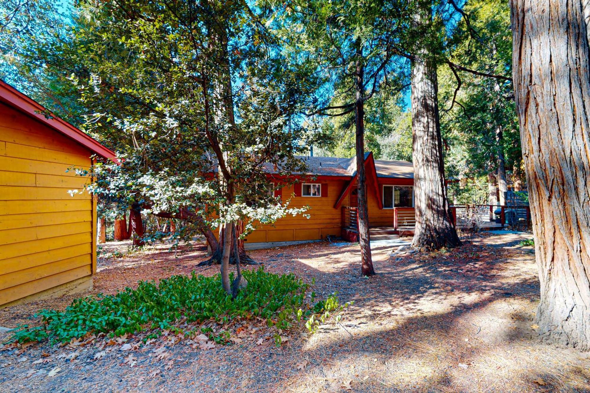 Casa Tahquitz Βίλα Idyllwild Εξωτερικό φωτογραφία